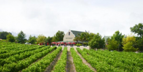 Skilpadvlei Wine Farm